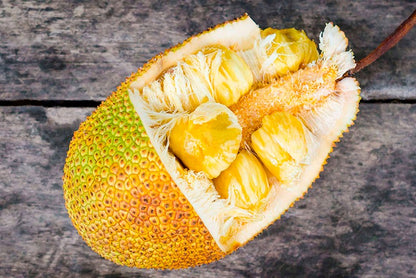 Jackfruit (Yaca) (Stk ca. 2 - 3kg)
