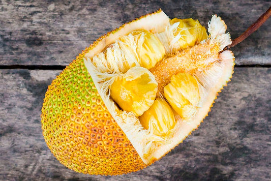 Jackfruit (Yaca) (Stk ca. 2- 3kg)