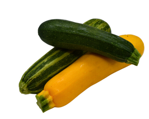 Bunte Zucchini Raritäten vom Obergrashof