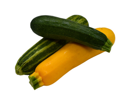 Bunte Zucchini Raritäten vom Obergrashof