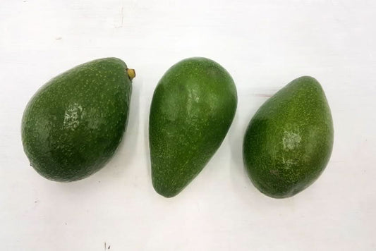 Avocadorarität Zutano von Julian Aktionspreis % 1kg