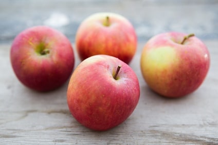 Bio Apfel Elstar kaufen