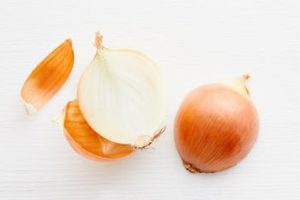 zwiebeln kaufen