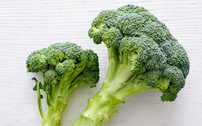 Brokkoli bestellen | liefert Dir Gemüse! online Trübenecker.de Bio Bio