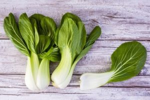 bio pak choi kaufen