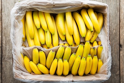 Bio Bananen Online Bestellen Trubenecker De Liefert Dir Bio Obst