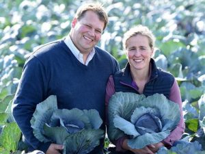 regionales bio gemüse kaufen