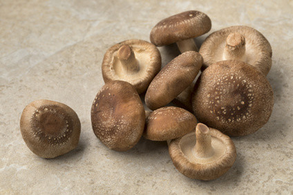 shiitake kaufen