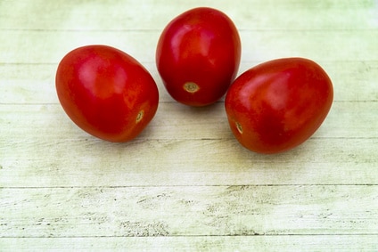 bio tomaten kaufen