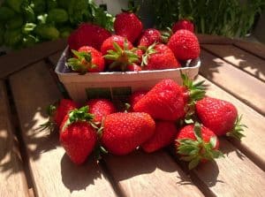 Erdbeeren Bayern 500g