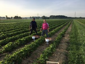 Erdbeeren Bayern 500g