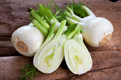 fenchel kaufen