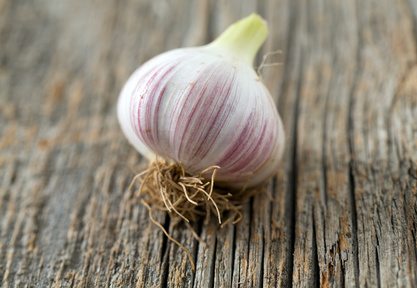 Bio Knoblauch frisch