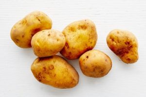 bio kartoffel agria