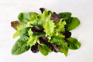 bio asia mix salat