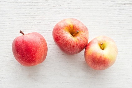 apfel gala kaufen