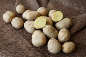 bio kartoffeln afra kaufen