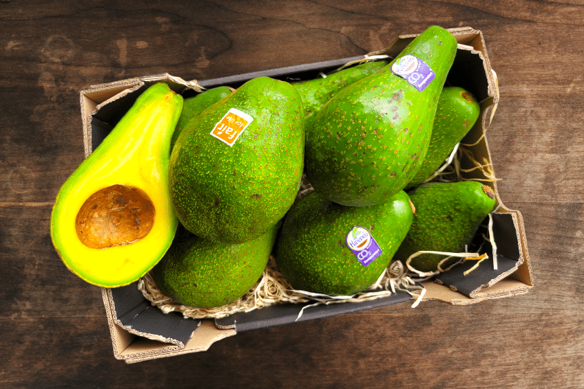 avocado kipepeo kaufen