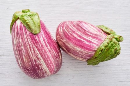 graffiti aubergine kaufen