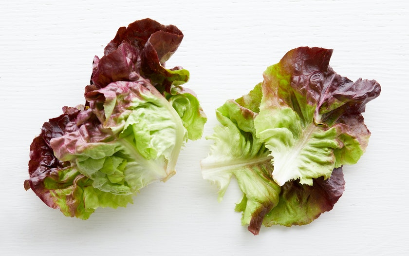 bio salat bestellen