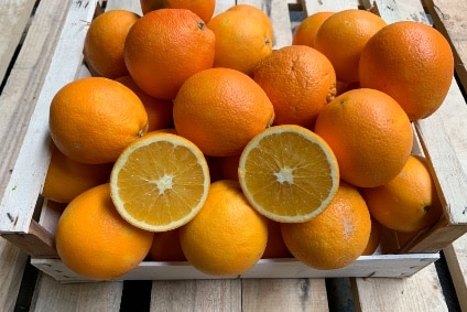 bio orangen kaufen