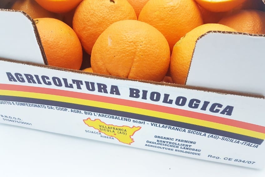 bio orangen aus sizilien kaufen