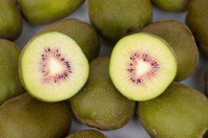 kiwi red sun bestellen