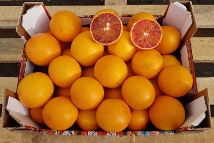 Bio Baumbox Orangen "Moro"