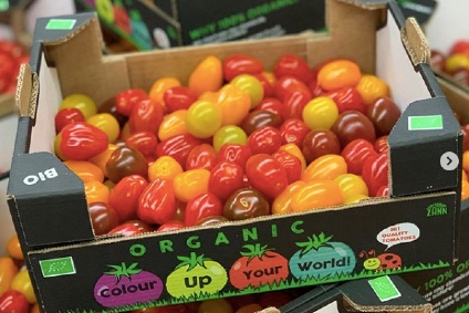 bio tomaten bunt