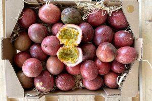 passionsfrüchte kaufen bio