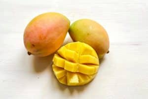 mango kensington bestellen