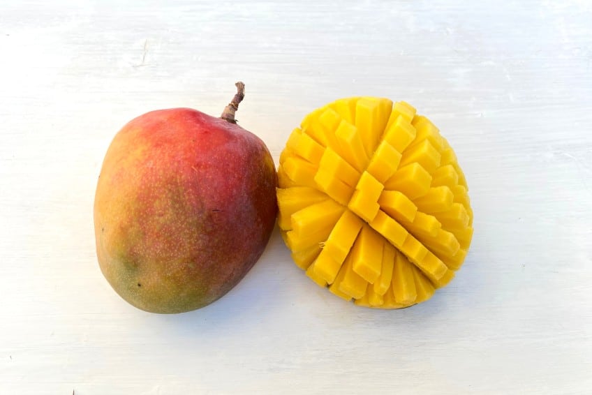 manzanillo mango kaufen