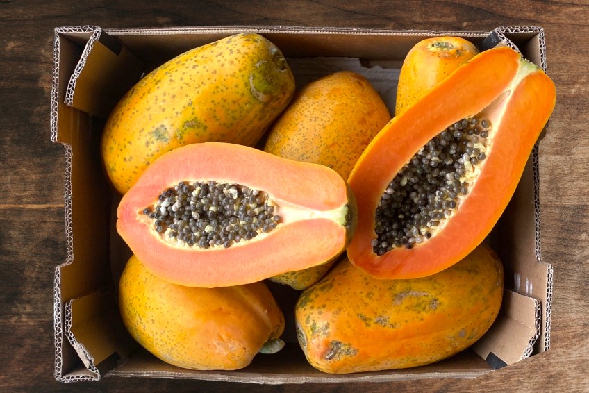 bio papaya kaufen