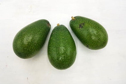 bio avocado ettinger kaufen