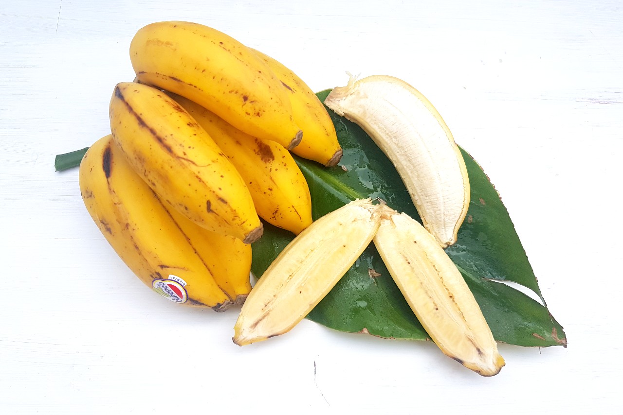 apfelbanane kaufen