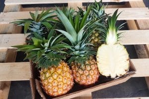 ananas flugware kaufen