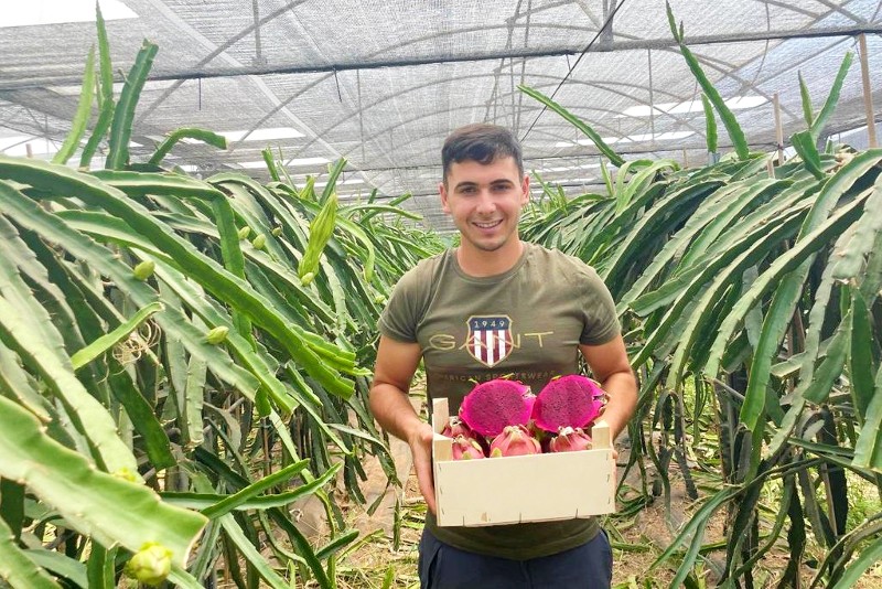 drachenfrucht kaufen