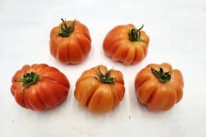 ochsenherz tomaten kaufen