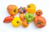 Bio Tomaten Mix "Alte Sorten" 1kg