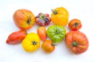 alte tomaten sorten