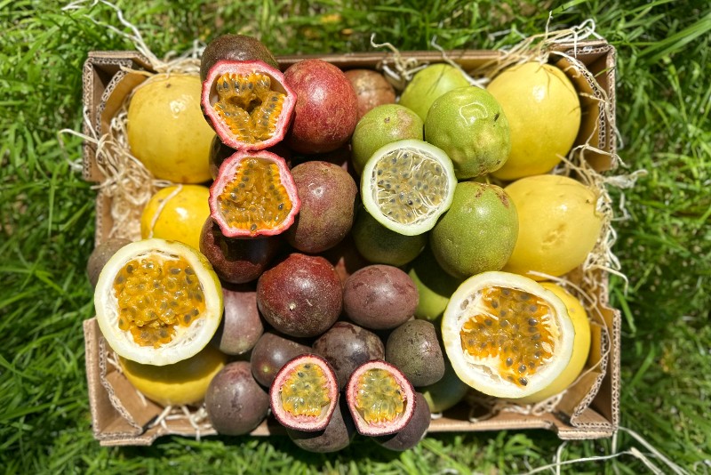 bio maracuja und passionsfrüchte kaufen