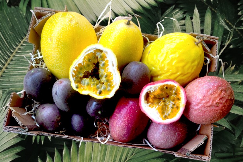 bio maracuja kaufen