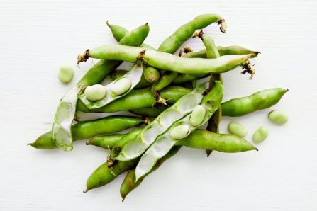 Bio Dicke Bohnen (Original Fava) von El Limonar Box 4kg