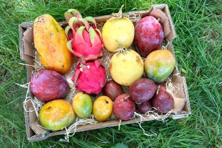 exotische früchte kaufen andalusien