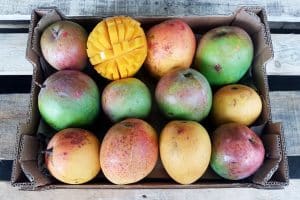 bio mango lippens bestellen