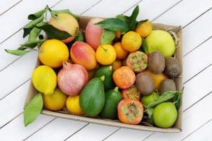 bio früchte vom erzeuger kaufen