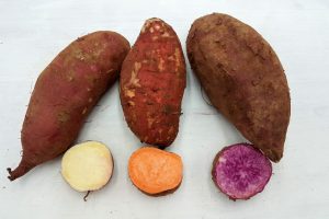 süsskartoffeln kaufen