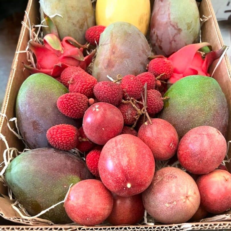 bio früchte andalusien kaufen