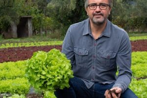 Bio Batavia Salat rot/grün Demeter 1 Stk. Aktionspreis %