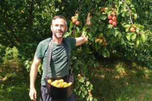 Bio_Kleinbauer_Aprikosen_kaufen